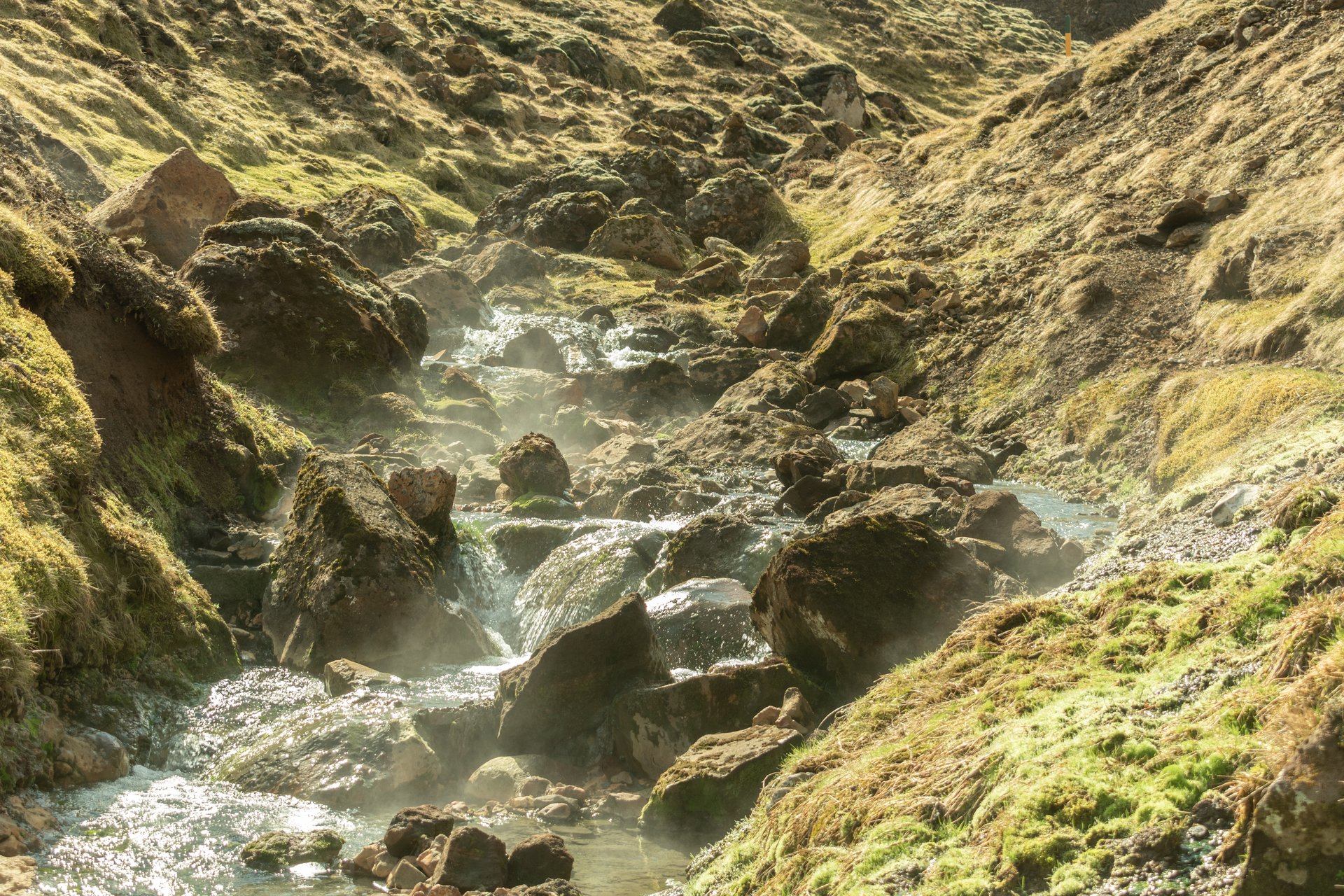 Steaming fumaroles along the Hengill Educational Trail with colorful geothermal ground