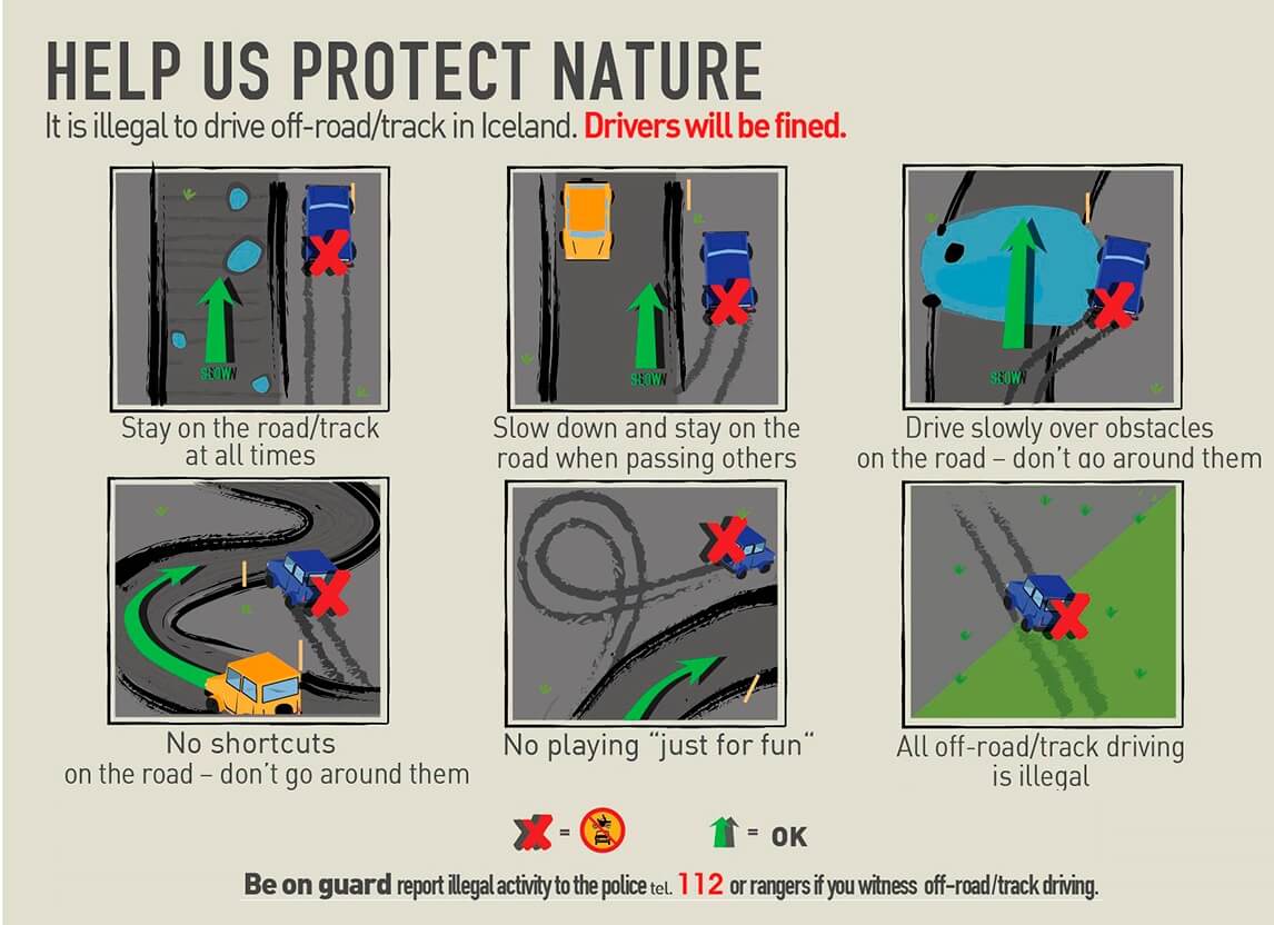 Tire tracks damaging fragile Icelandic moss from illegal off-road driving
