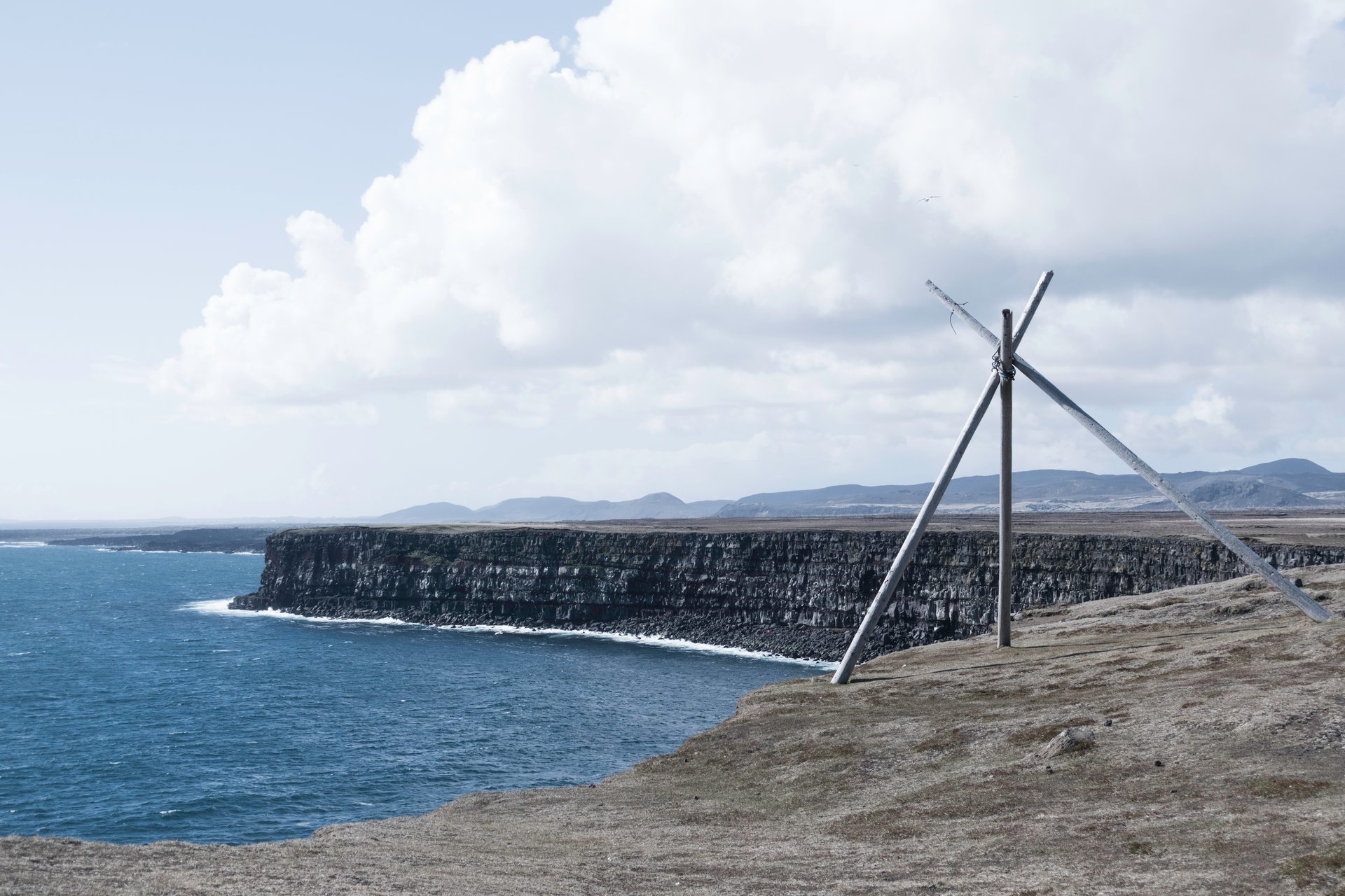 Krýsuvíkurbjarg coastal cliffs with seabirds Iceland
