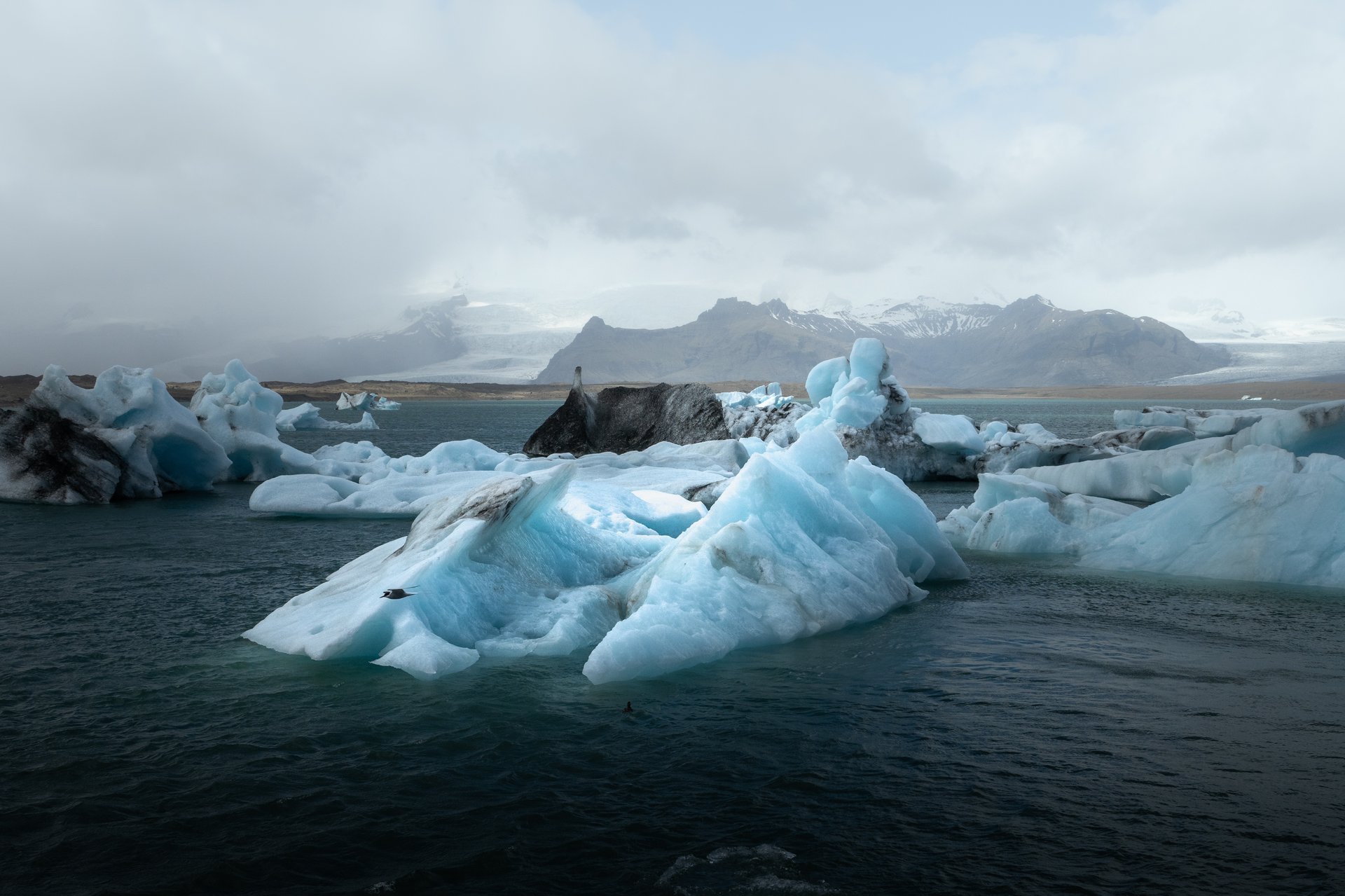 Jökulsárlón icebergs floating Iceland glacier lagoon