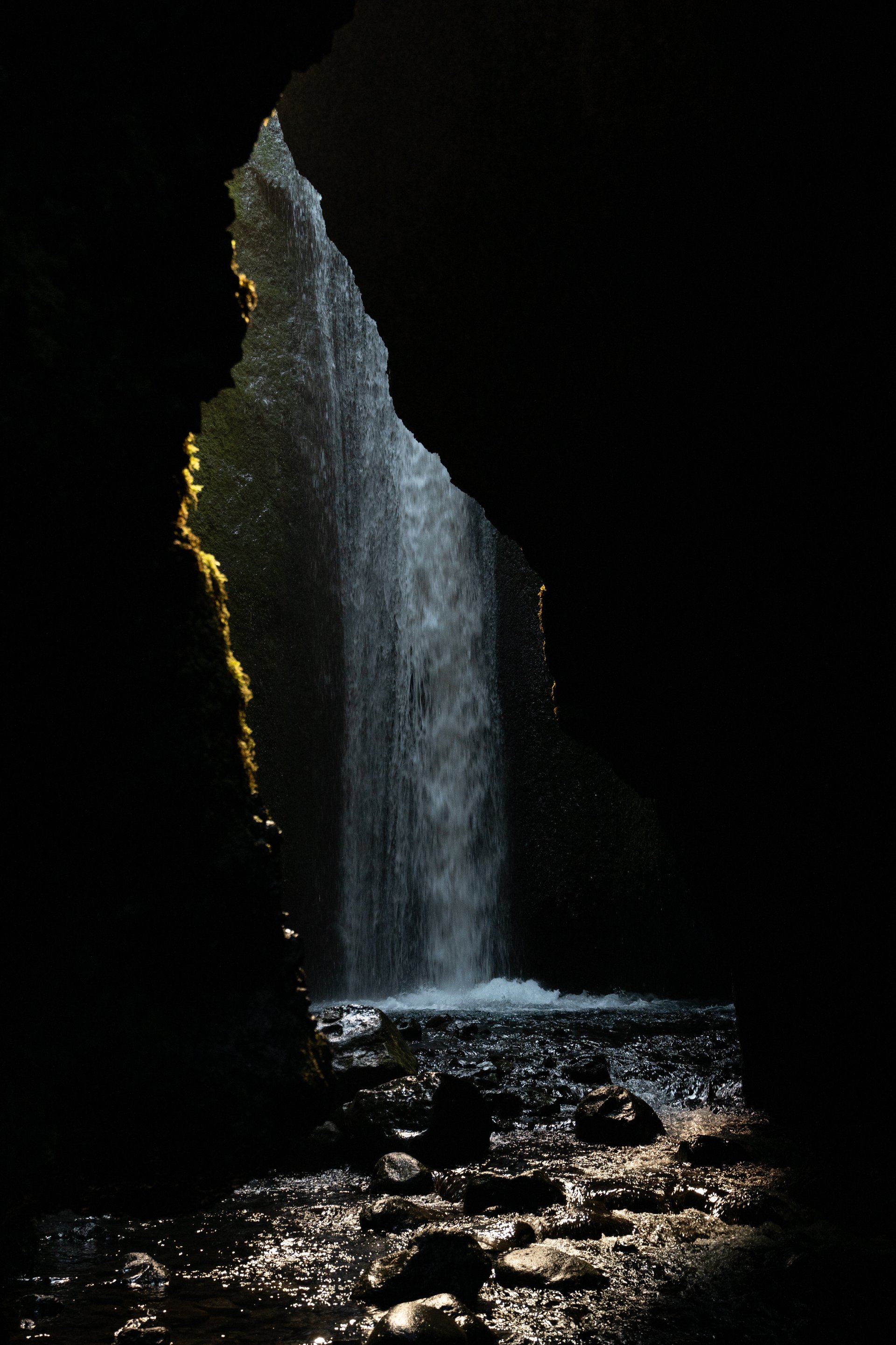 Nauthúsagíl canyon with moss-covered walls and stream