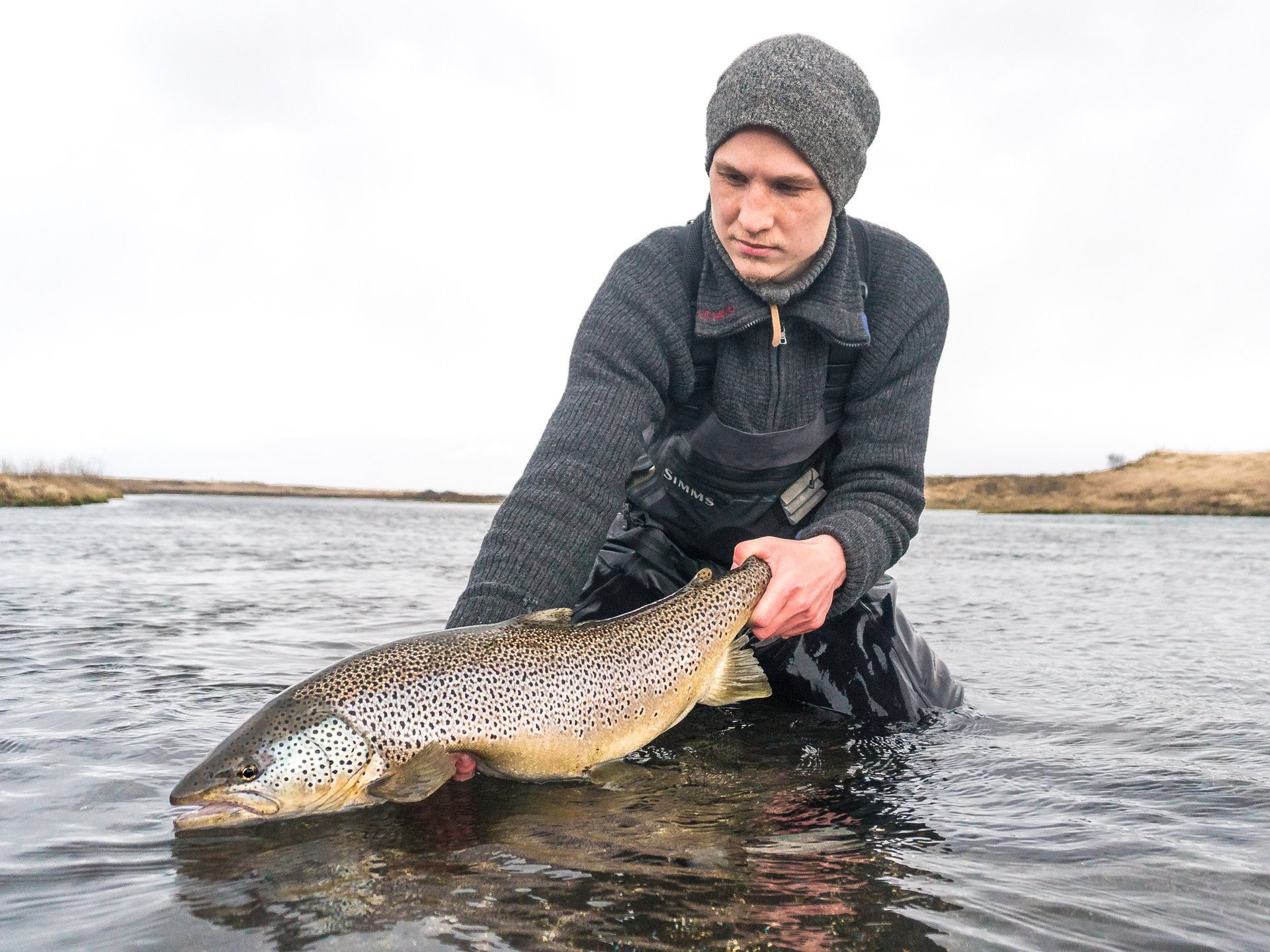 Fly fishing for giant brown trout on West Rangá River Iceland