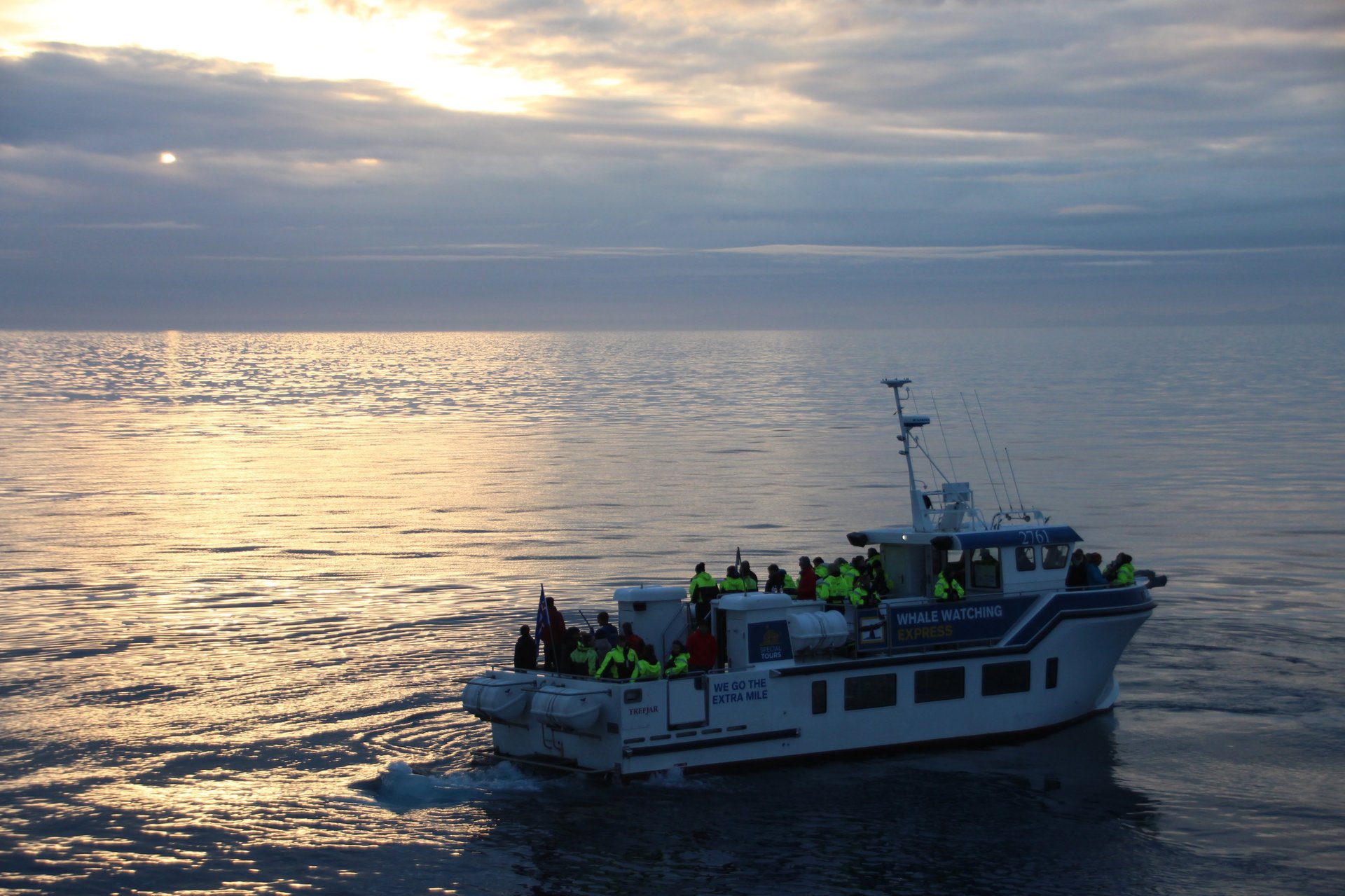 White-beaked dolphins spotted during fishing tour from Reykjavík Old Harbor