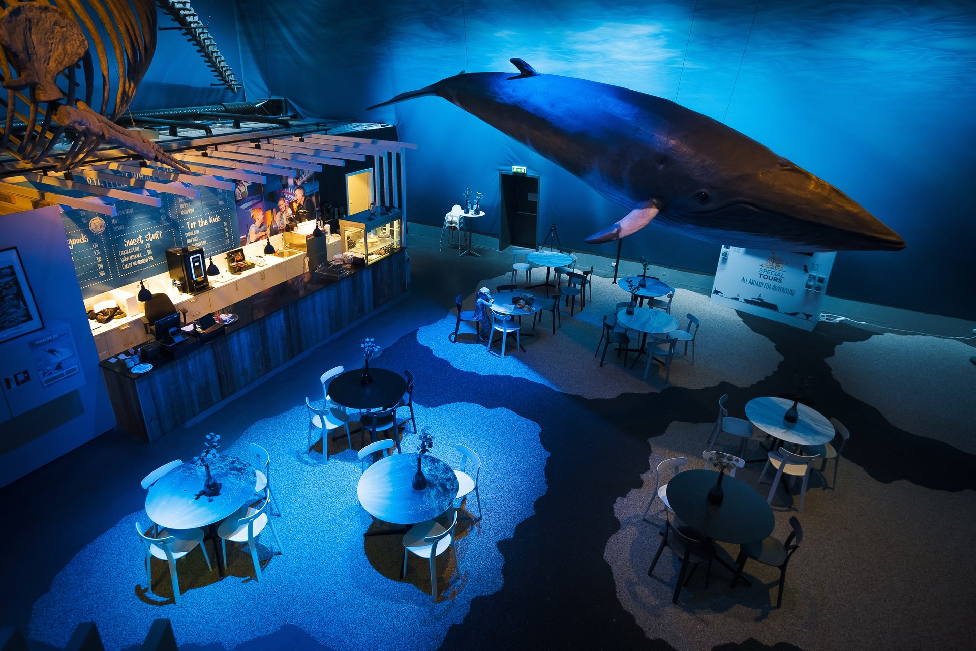 Massive 25-meter blue whale model suspended at Whales of Iceland Exhibition