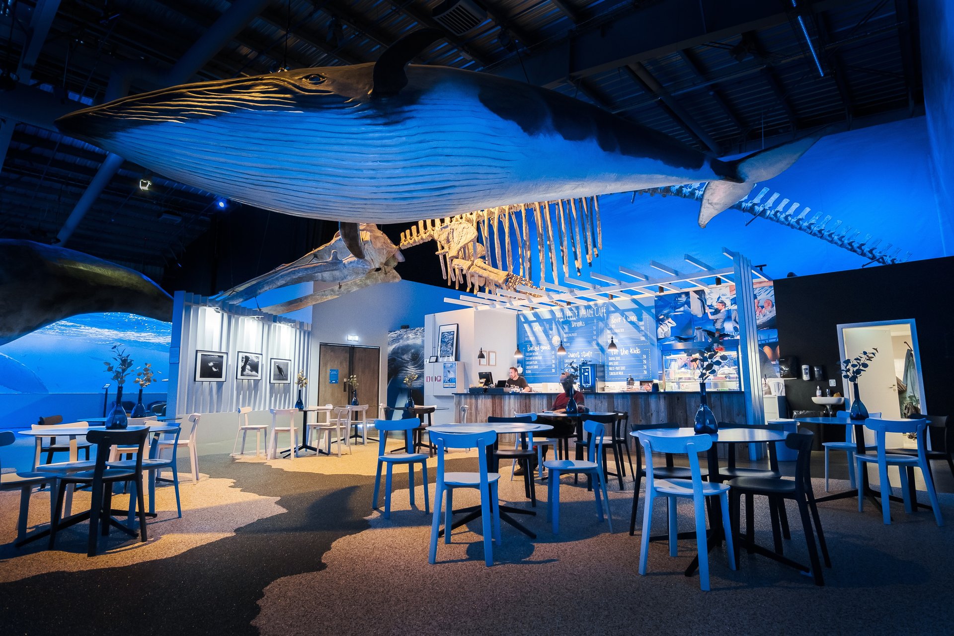 Life-size humpback whale and other species models at Reykjavík marine exhibition