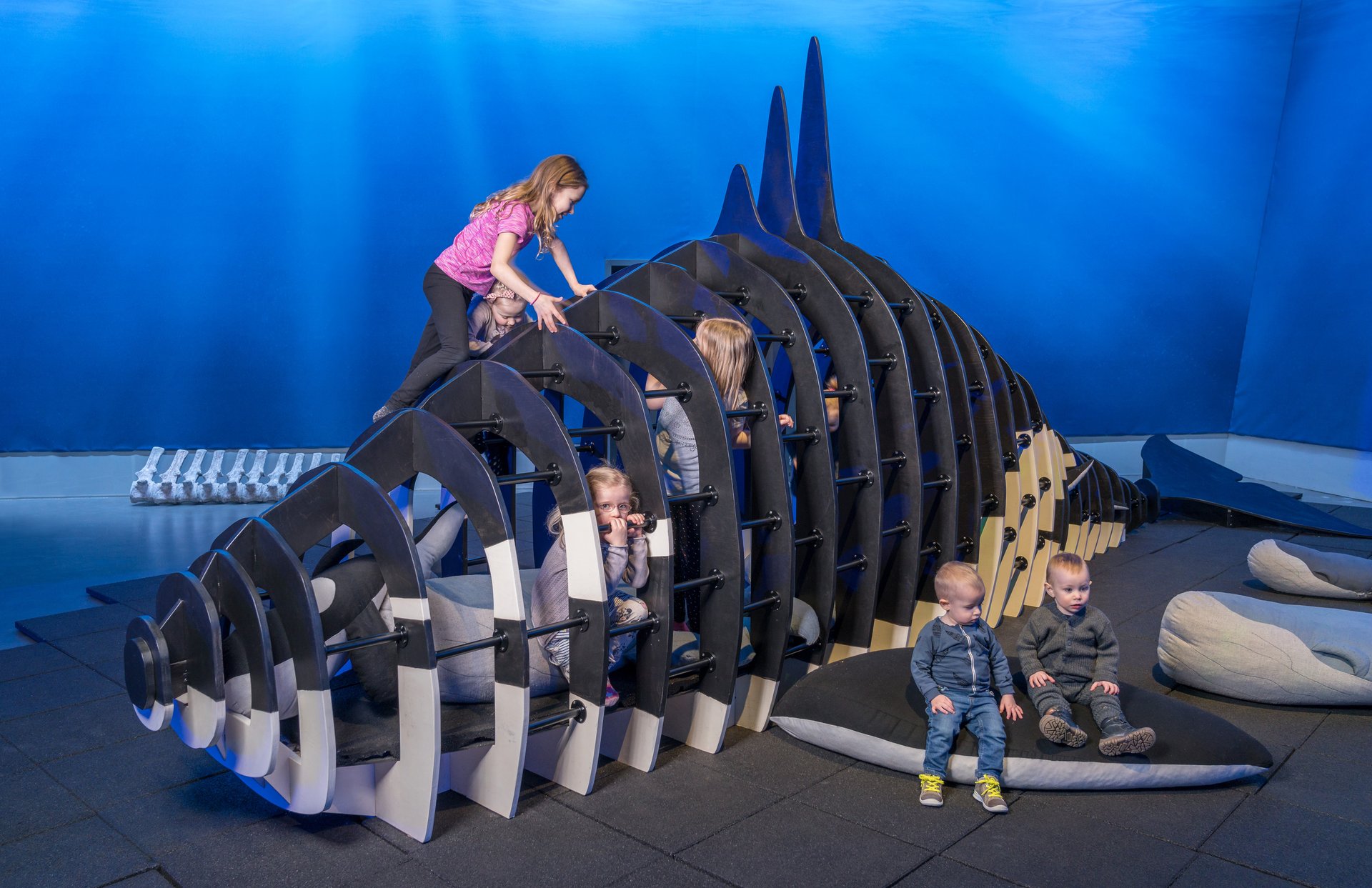 Interactive educational displays about whale biology at Whales of Iceland