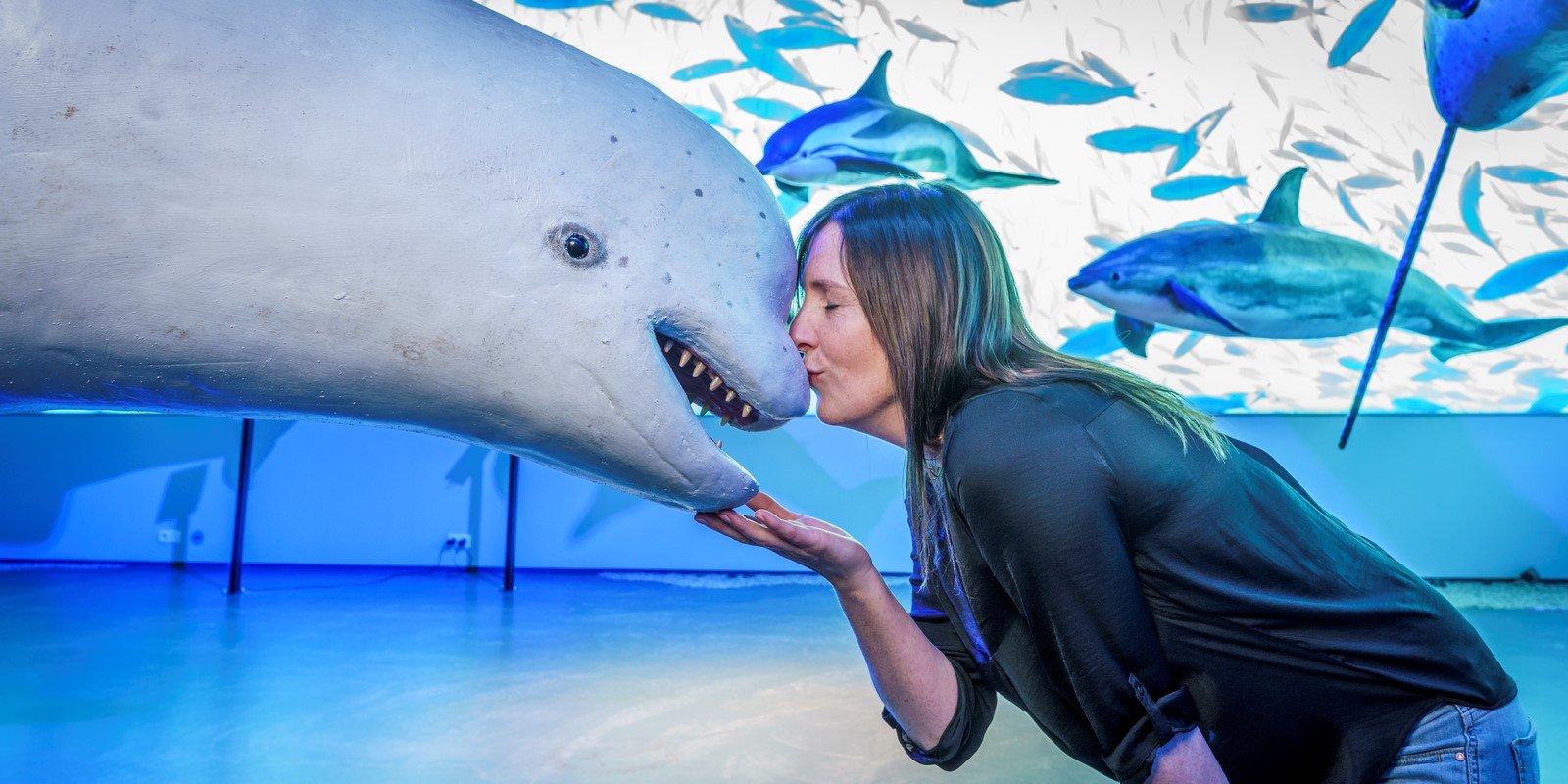 Family exploring whale exhibition in Reykjavík harbor district