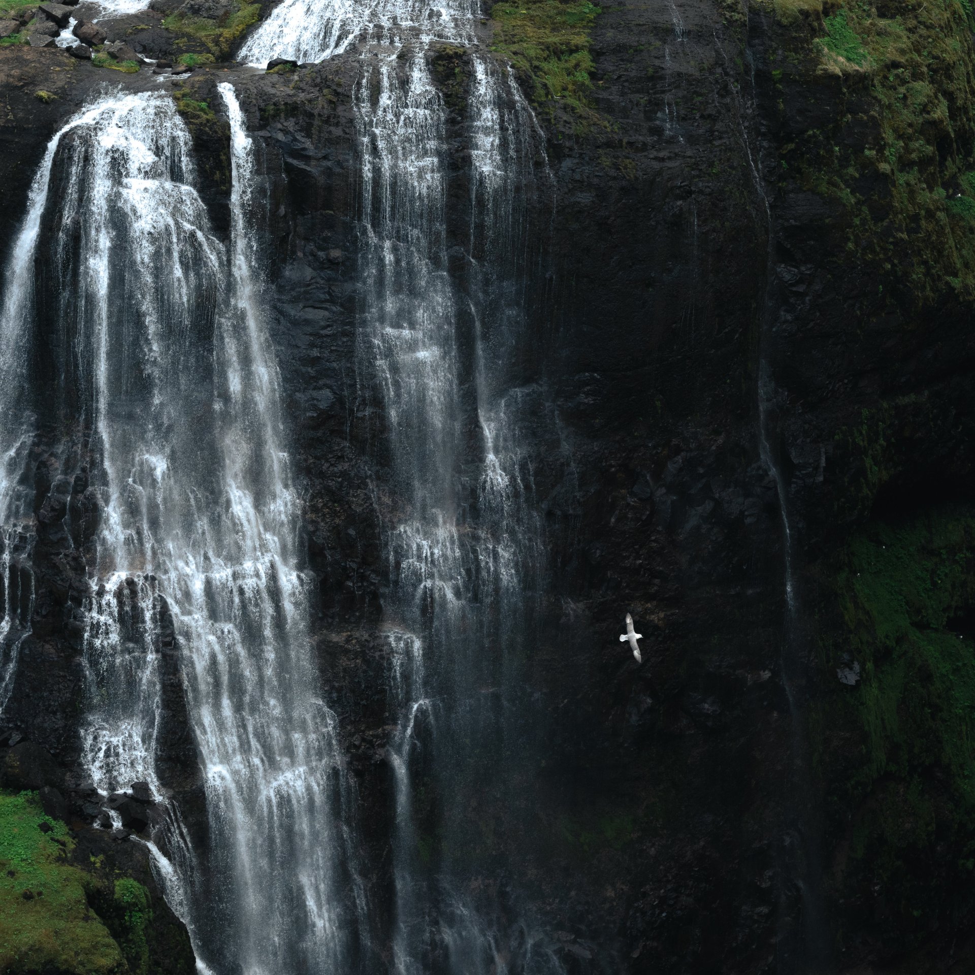 Hikers beginning their adventure toward Glymur waterfall in Hvalfjörður