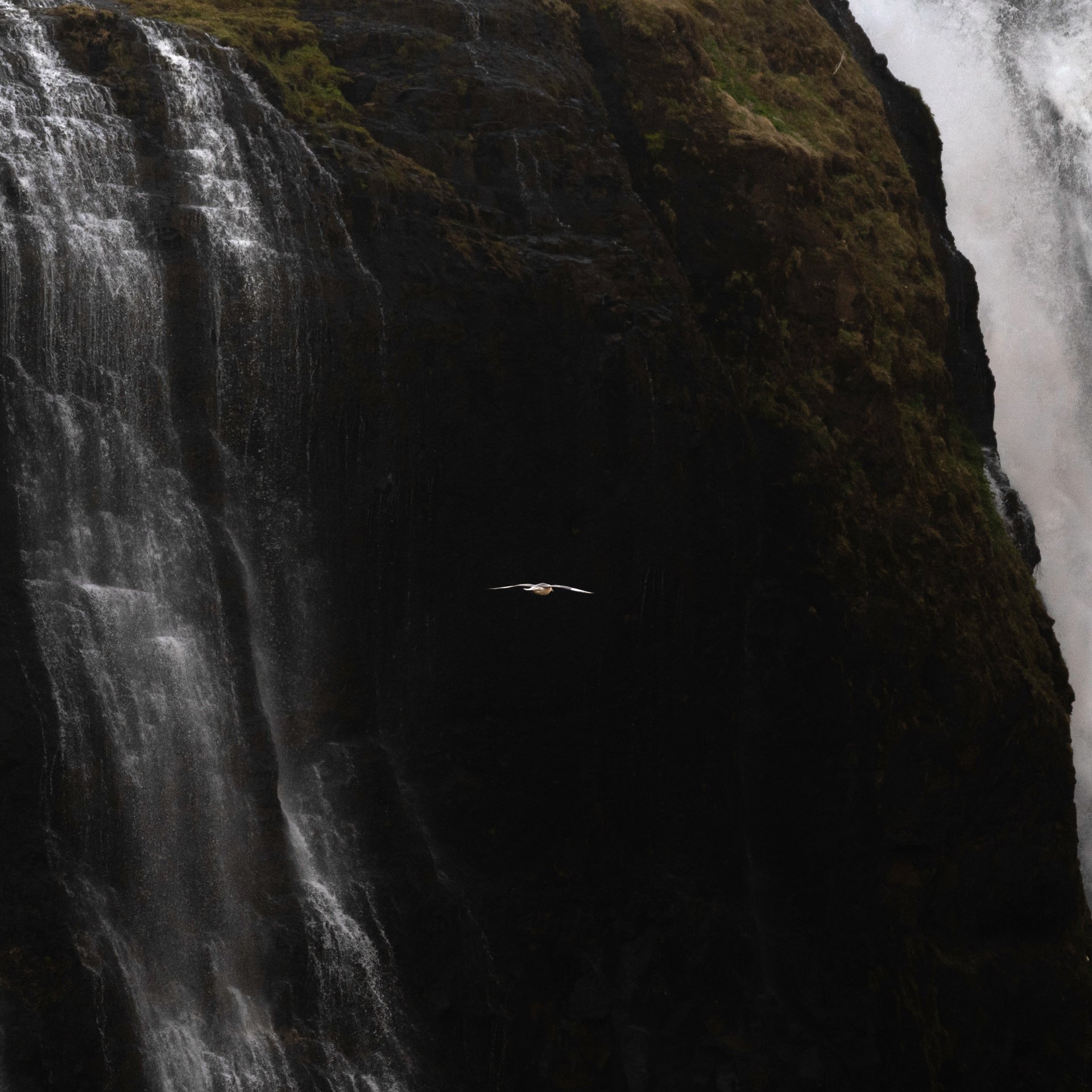 Triumphant hikers at Glymur waterfall after completing the adventure