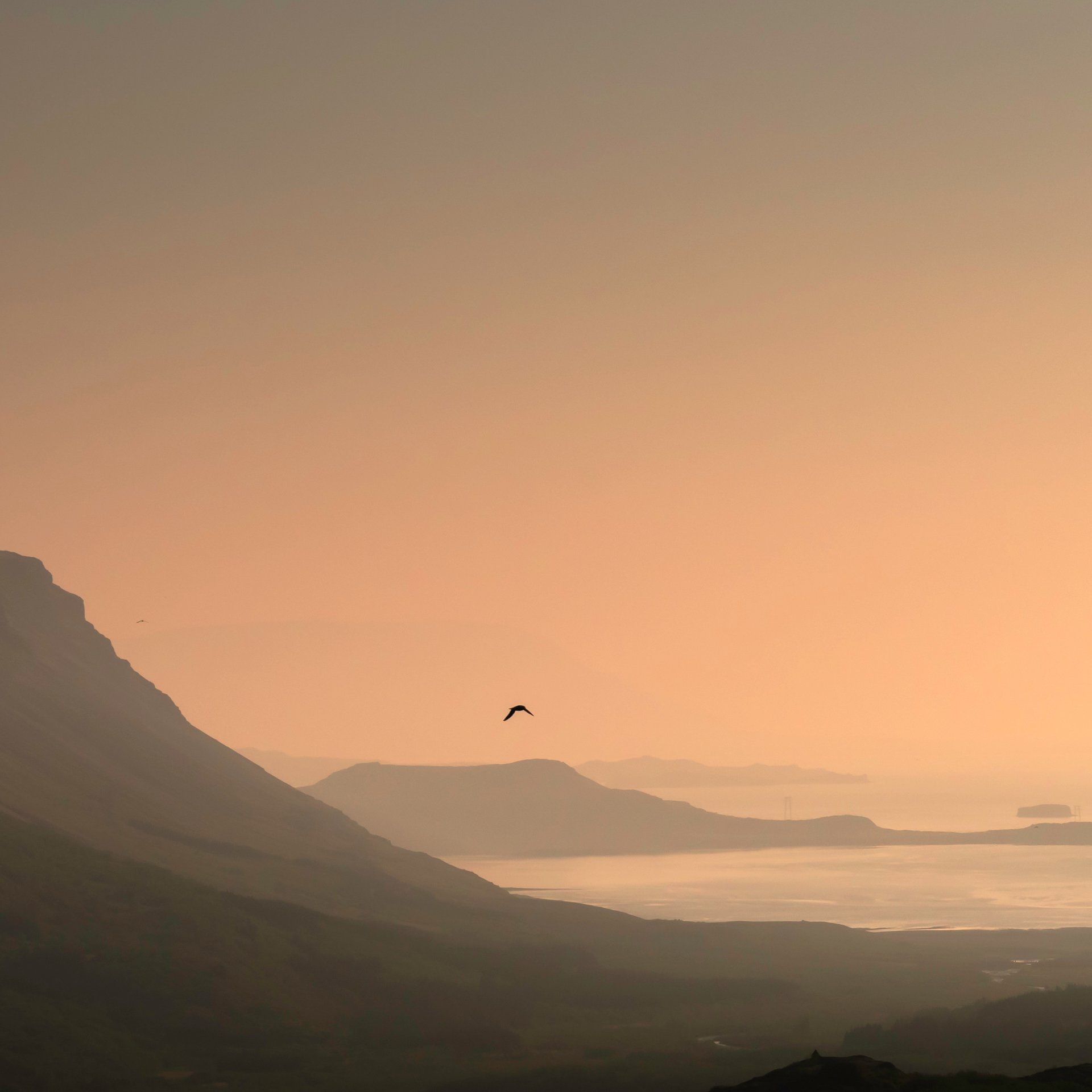 Crystal-clear glacier-fed streams requiring wading during Glymur hike