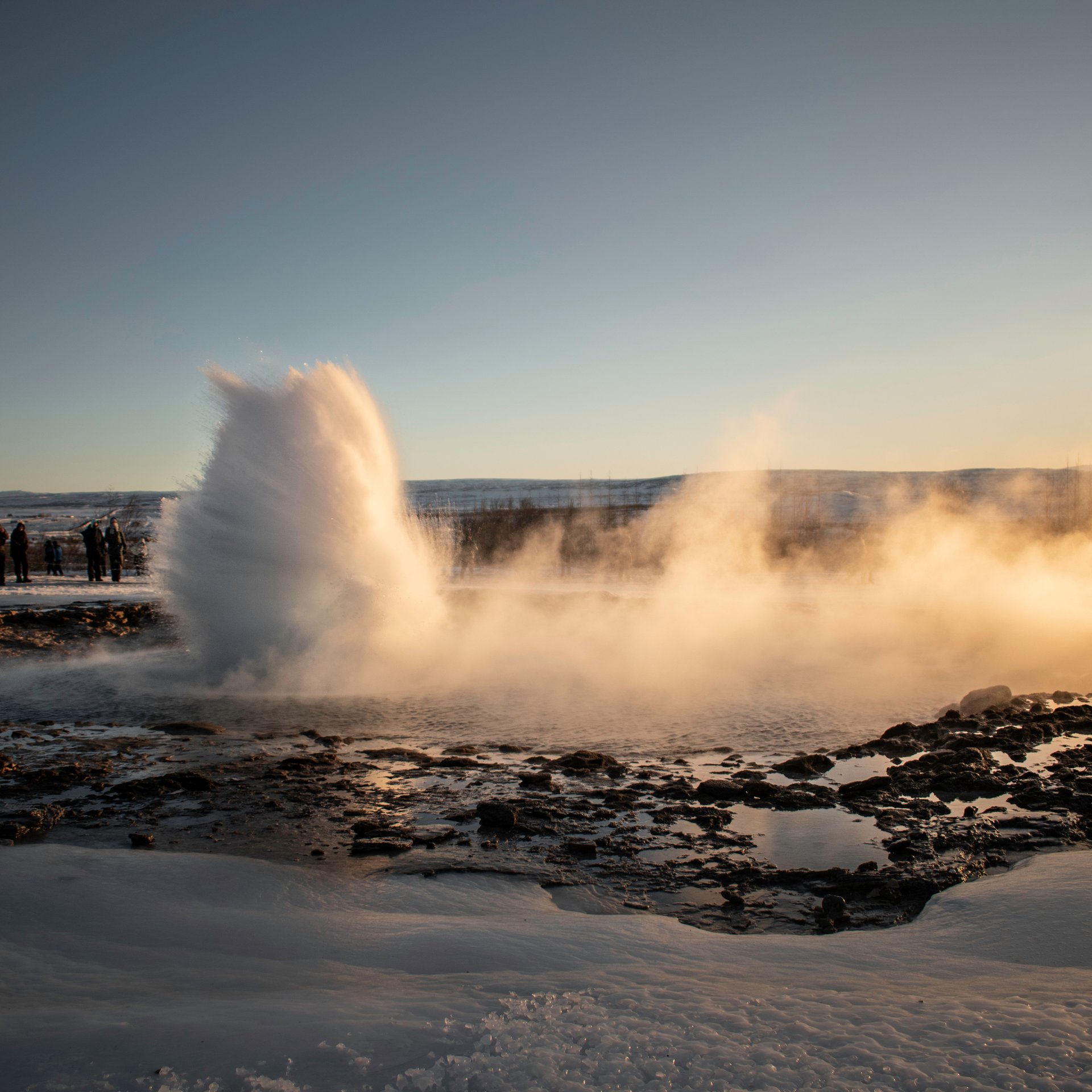 Friðheimar greenhouse dining experience among tomato plants