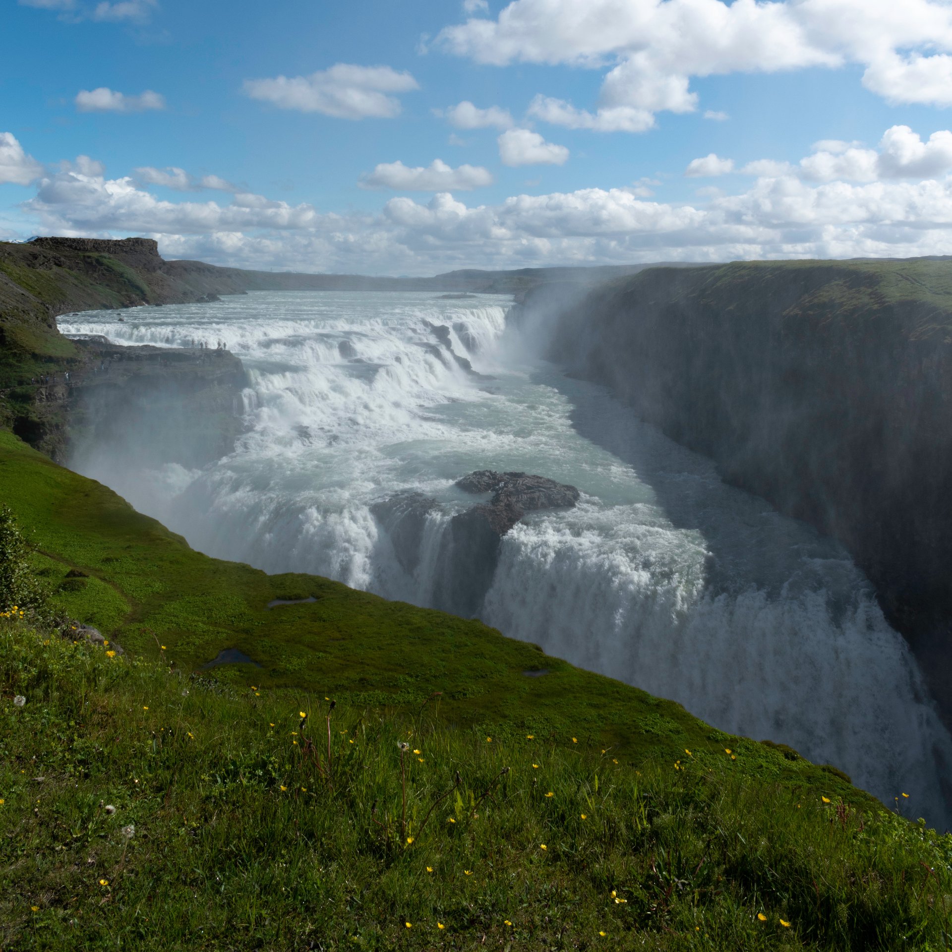 Farm-to-table culinary experience with authentic Icelandic ingredients
