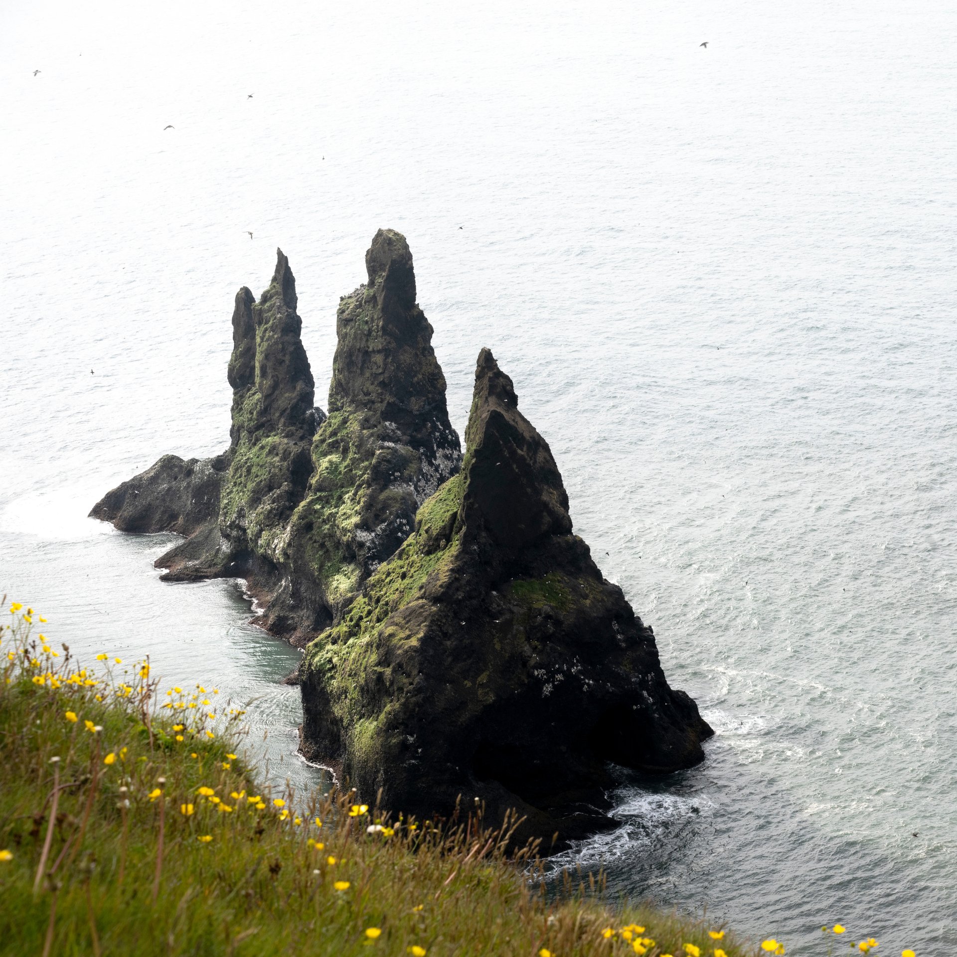 Private south coast tour with luxury vehicle and dramatic landscapes