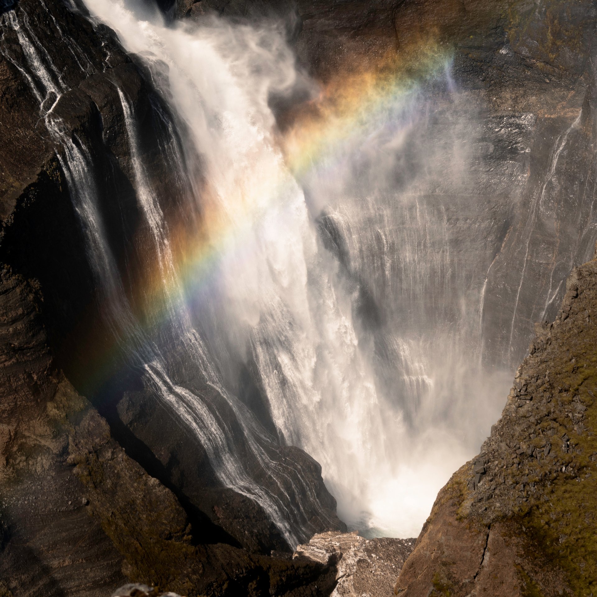 Ingólfsskáli Viking restaurant traditional Icelandic dining experience