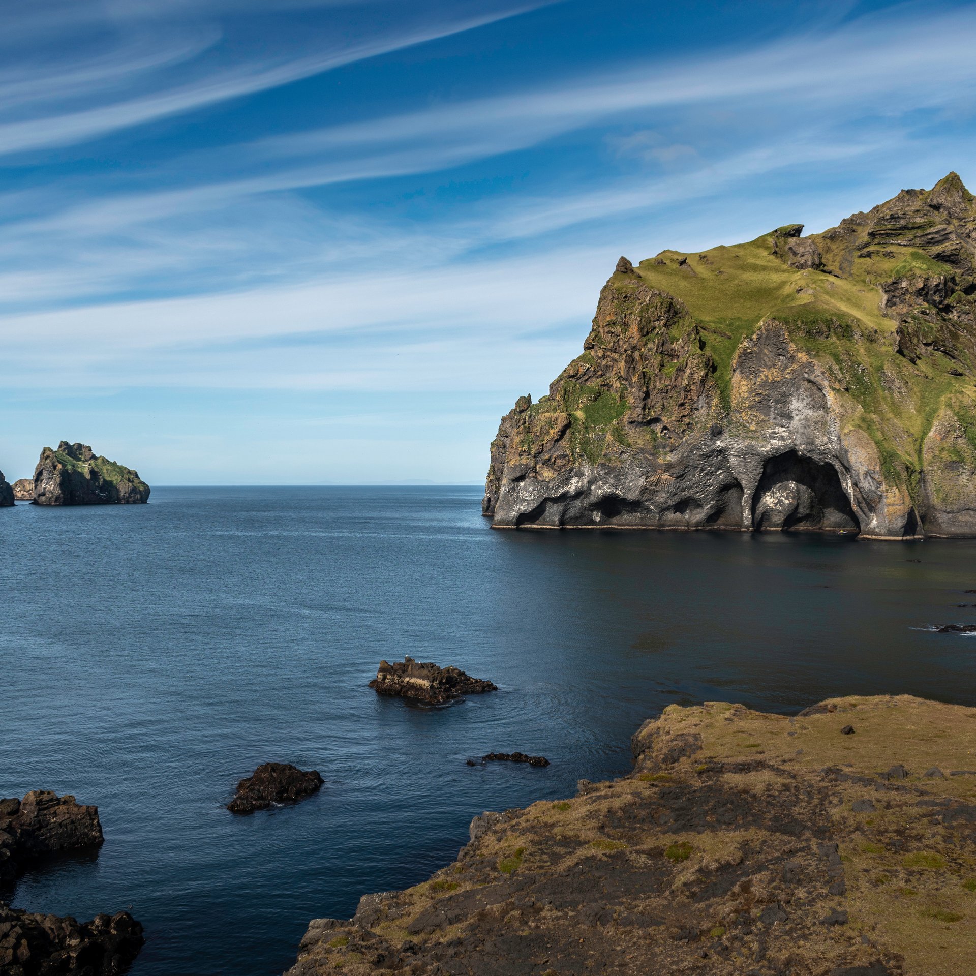 Atlantic puffins in breeding plumage on clifftop nesting grounds