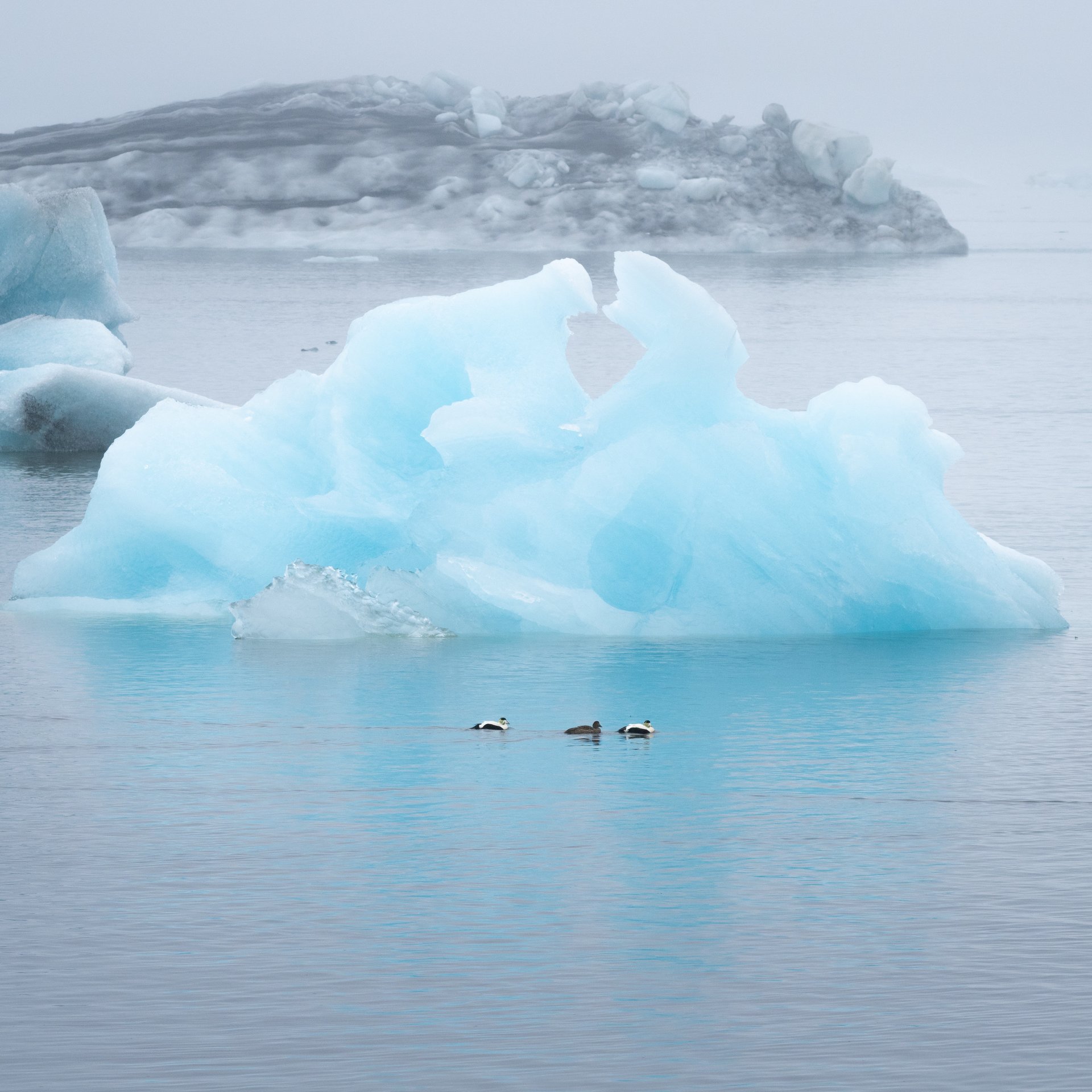 Vatnajökull southern region featuring Jökulsárlón glacier lagoon, Diamond Beach and Fjallsárlón
