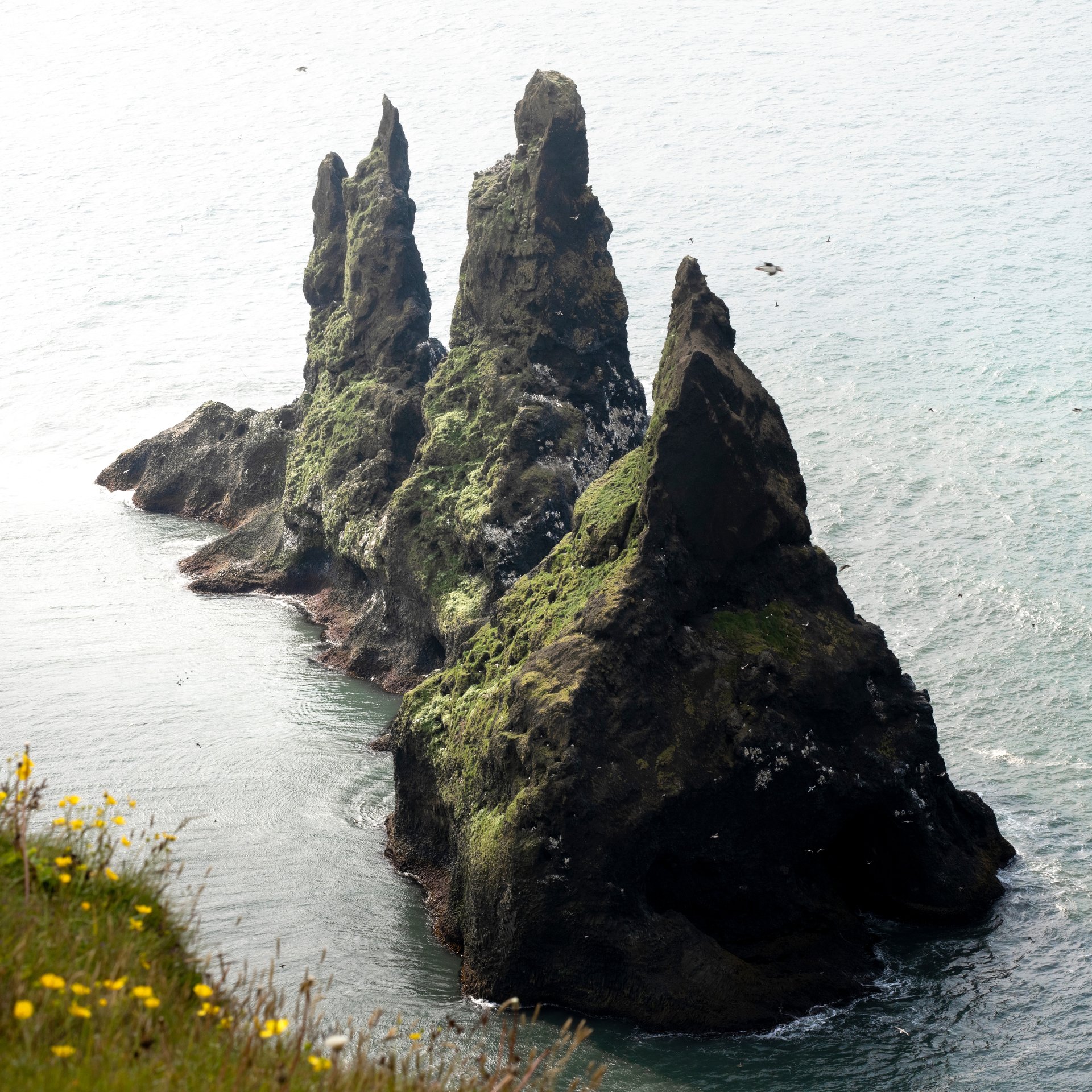 South Coast waterfalls and black sand beaches