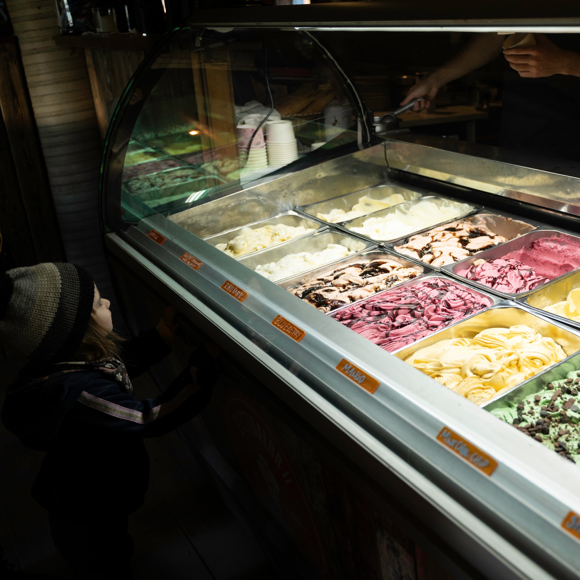 Traditional Icelandic dairy farm EfstiDalur with cows grazing in volcanic landscape