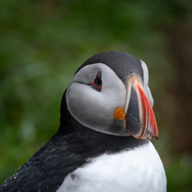 Askja caldera with Öskjuvatn lake and volcanic landscape