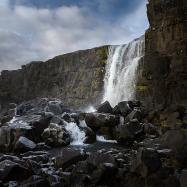 Atlantic puffins at Borgarfjörður Eystri colony