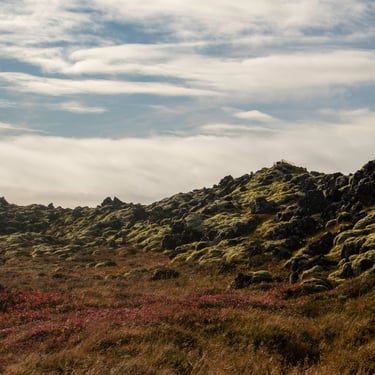 Hveravellir highland oasis with geothermal features and hot springs