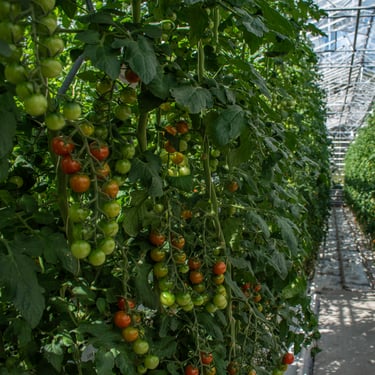 Glacier hiking on Sólheimajökull