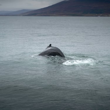 Krafla lava fields Leirhnjúkur volcanic landscape