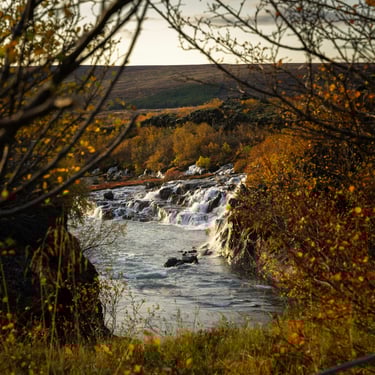 Deildartunguhver hot spring steam